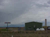 dovecrt.jpg (36289 bytes)