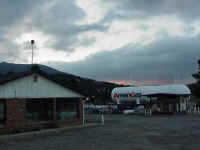 evergr01t.jpg (50286 bytes)