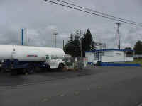 fern01t.jpg (52409 bytes)