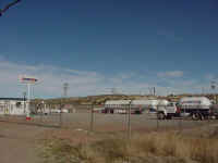 gallopt.jpg (55883 bytes)