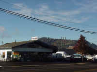 springft.jpg (57287 bytes)